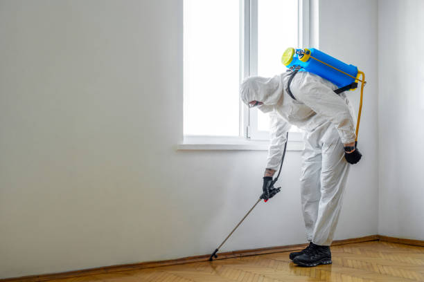 Professional Pest Control in Egypt Lake Leto, FL